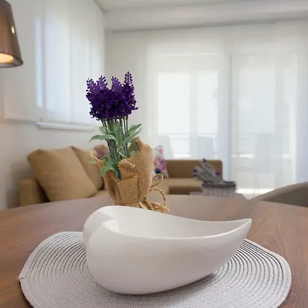 Lägenhetshotell Felix Promajna